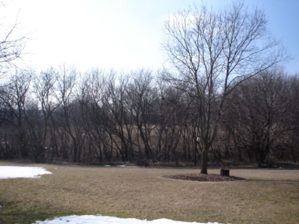 928 Butternut Bend, LAKE SUMMERSET, Illinois 61019, ,Land,For Sale,Butternut Bend,202602240