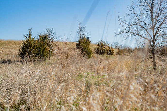 88xx Trask Bridge, WINNEBAGO, Illinois 61088, ,Land,For Sale,Trask Bridge,202602281