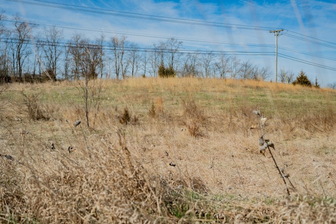 88xx Trask Bridge, WINNEBAGO, Illinois 61088, ,Land,For Sale,Trask Bridge,202602281