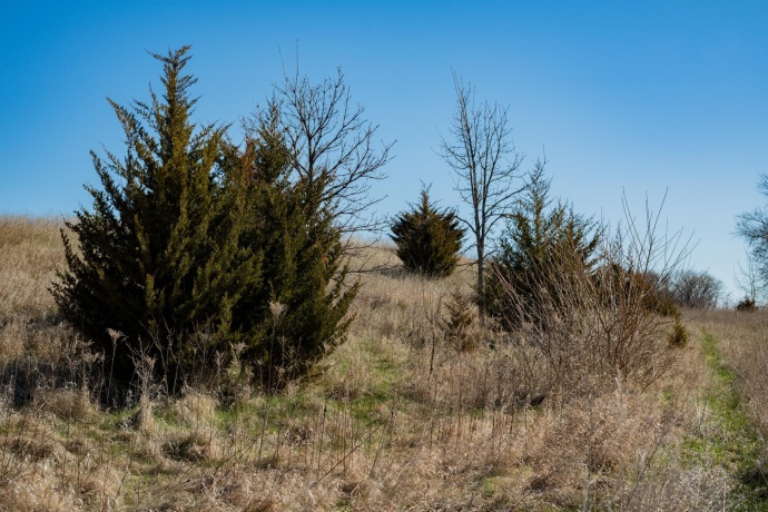 88xx Trask Bridge, WINNEBAGO, Illinois 61088, ,Land,For Sale,Trask Bridge,202602281