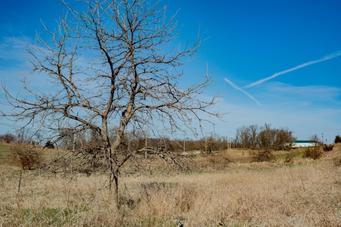 88xx Trask Bridge, WINNEBAGO, Illinois 61088, ,Land,For Sale,Trask Bridge,202602281