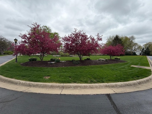 5351 Woodland Pond, LOVES PARK, Illinois 61111, ,Land,For Sale,Woodland Pond,202602288