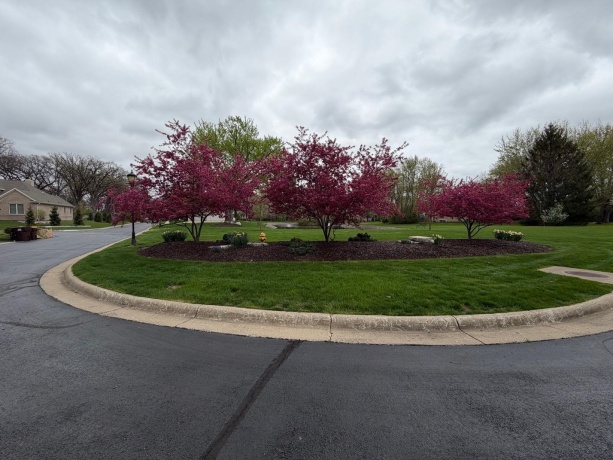 5351 Woodland Pond, LOVES PARK, Illinois 61111, ,Land,For Sale,Woodland Pond,202602288