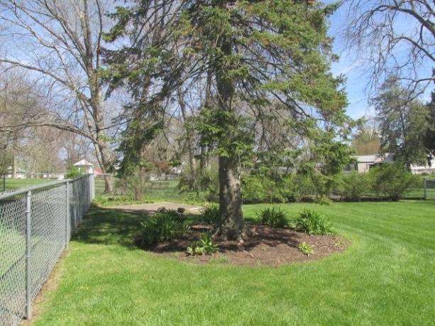 1507 Chicago, FREEPORT, Illinois 61032, 2 Bedrooms Bedrooms, ,2 BathroomsBathrooms,House,For Sale,Chicago,202602291