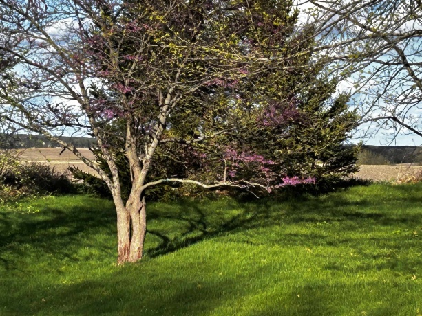 10072 IL RTE 72, FORRESTON, Illinois 61030, 3 Bedrooms Bedrooms, ,1 BathroomBathrooms,House,For Sale,IL RTE 72,202602163