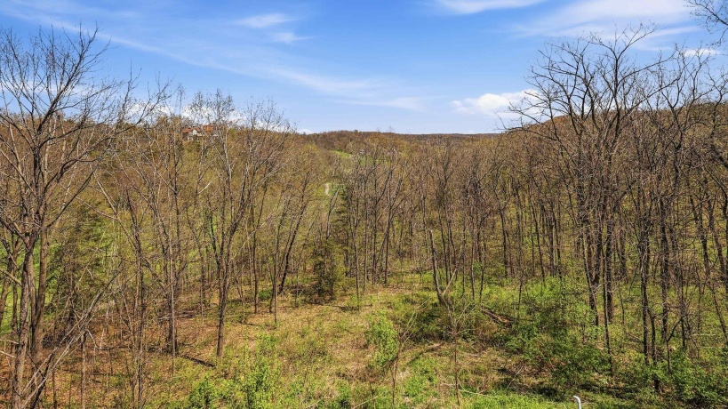 4 Linden, GALENA, Illinois 61036, 5 Bedrooms Bedrooms, ,4 BathroomsBathrooms,House,For Sale,Linden,202602363