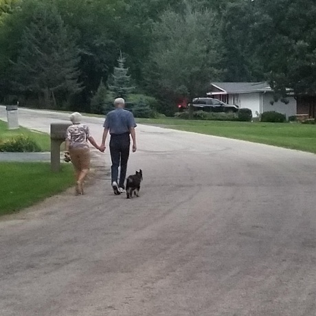 1262 Lake Summerset, LAKE SUMMERSET, Illinois 61019, ,Land,For Sale,Lake Summerset,202602374