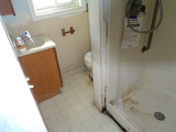 106 Second, LEAF RIVER, Illinois 61047, 3 Bedrooms Bedrooms, ,2 BathroomsBathrooms,House,For Sale,Second,202602378