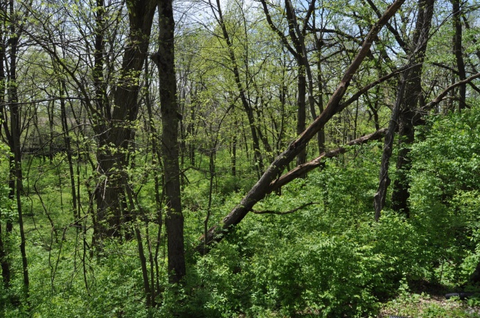 2648 Shepard, FREEPORT, Illinois 61032, 4 Bedrooms Bedrooms, ,2 BathroomsBathrooms,House,For Sale,Shepard,202602403