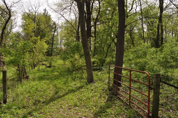 2648 Shepard, FREEPORT, Illinois 61032, 4 Bedrooms Bedrooms, ,2 BathroomsBathrooms,House,For Sale,Shepard,202602403