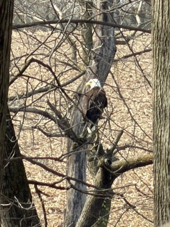 2648 Shepard, FREEPORT, Illinois 61032, 4 Bedrooms Bedrooms, ,2 BathroomsBathrooms,House,For Sale,Shepard,202602403