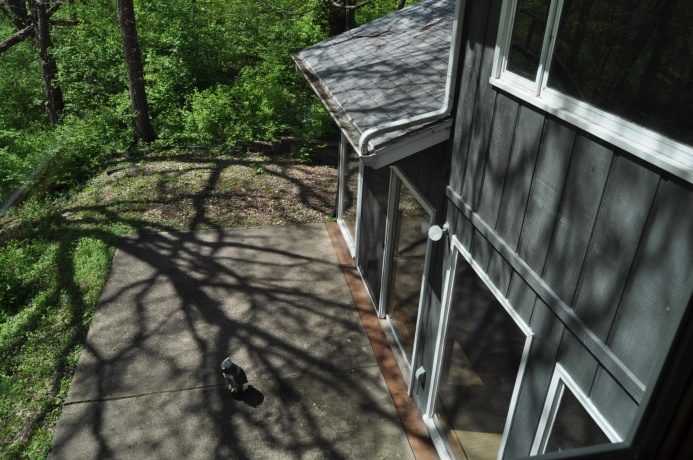 2648 Shepard, FREEPORT, Illinois 61032, 4 Bedrooms Bedrooms, ,2 BathroomsBathrooms,House,For Sale,Shepard,202602403