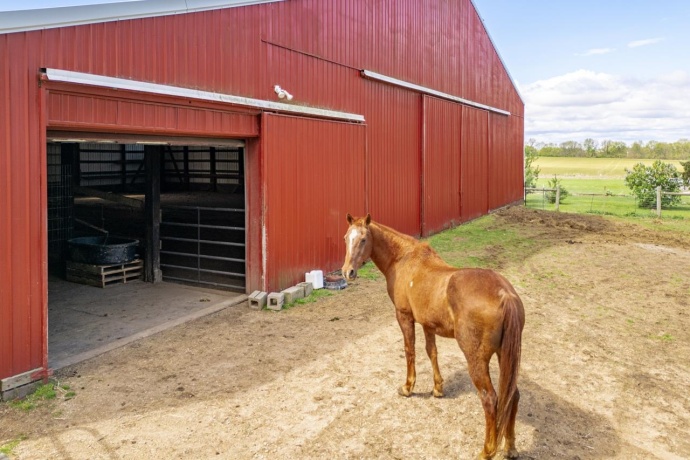 10160 Cemetery, PECATONICA, Illinois 61063, 4 Bedrooms Bedrooms, ,2 BathroomsBathrooms,House,For Sale,Cemetery,202602414