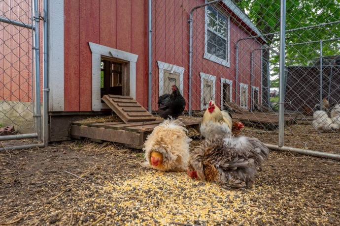 10160 Cemetery, PECATONICA, Illinois 61063, 4 Bedrooms Bedrooms, ,2 BathroomsBathrooms,House,For Sale,Cemetery,202602414