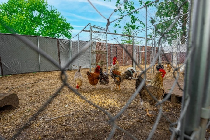 10160 Cemetery, PECATONICA, Illinois 61063, 4 Bedrooms Bedrooms, ,2 BathroomsBathrooms,House,For Sale,Cemetery,202602414