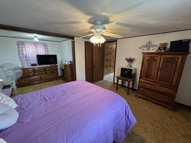 317 Walnut, SHANNON, Illinois 61078, 4 Bedrooms Bedrooms, ,2 BathroomsBathrooms,House,For Sale,Walnut,202602432