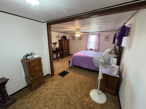 317 Walnut, SHANNON, Illinois 61078, 4 Bedrooms Bedrooms, ,2 BathroomsBathrooms,House,For Sale,Walnut,202602432