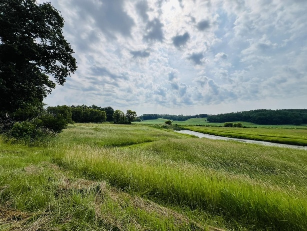 16025 IL Rt 78, MOUNT CARROLL, Illinois 61053, ,Land,For Sale,IL Rt 78,202602471