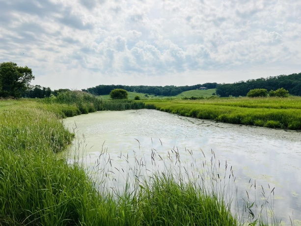 16025 IL Rt 78, MOUNT CARROLL, Illinois 61053, ,Land,For Sale,IL Rt 78,202602471