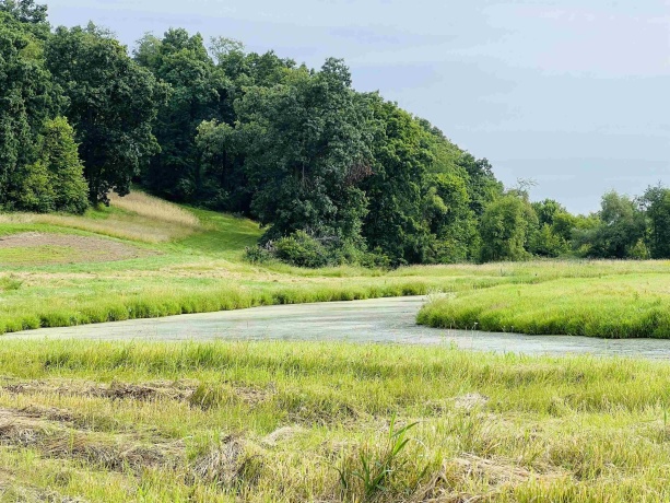 16025 IL Rt 78, MOUNT CARROLL, Illinois 61053, ,Land,For Sale,IL Rt 78,202602471