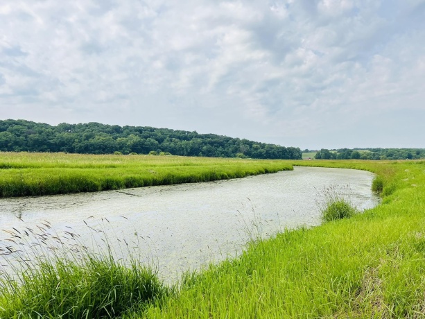 16025 IL Rt 78, MOUNT CARROLL, Illinois 61053, ,Land,For Sale,IL Rt 78,202602471