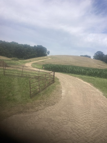 16025 IL Rt 78, MOUNT CARROLL, Illinois 61053, ,Land,For Sale,IL Rt 78,202602471