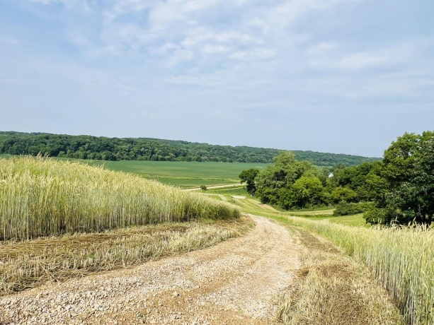 16025 IL Rt 78, MOUNT CARROLL, Illinois 61053, ,Land,For Sale,IL Rt 78,202602471