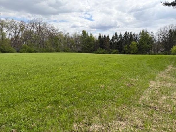 1041 Donna, BELVIDERE, Illinois 61008, 3 Bedrooms Bedrooms, ,2 BathroomsBathrooms,House,For Sale,Donna,202602554