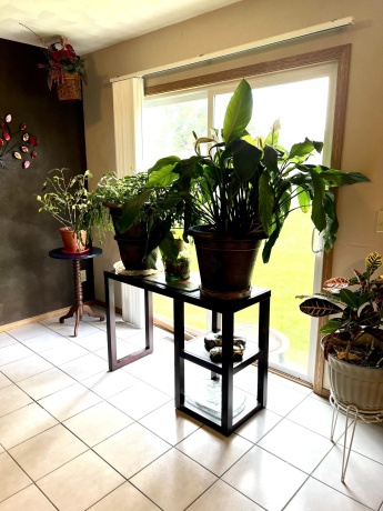 3378 Prairie View, ROCKFORD, Illinois 61107, 3 Bedrooms Bedrooms, ,1 BathroomBathrooms,House,For Sale,Prairie View,202602555