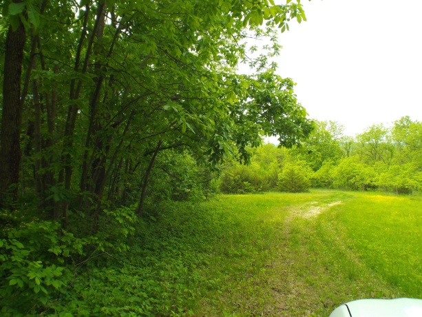 1904 US Rt 20 East, ELIZABETH, Illinois 61028, ,Land,For Sale,US Rt 20 East,202502772