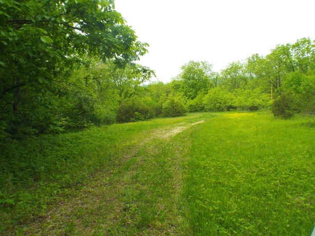 1904 US Rt 20 East, ELIZABETH, Illinois 61028, ,Land,For Sale,US Rt 20 East,202502772