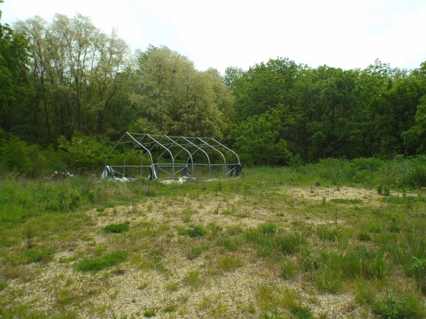 1904 US Rt 20 East, ELIZABETH, Illinois 61028, ,Land,For Sale,US Rt 20 East,202502772
