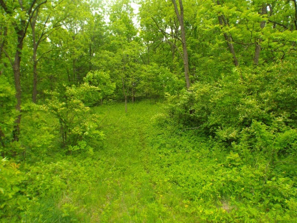 1904 US Rt 20 East, ELIZABETH, Illinois 61028, ,Land,For Sale,US Rt 20 East,202502772