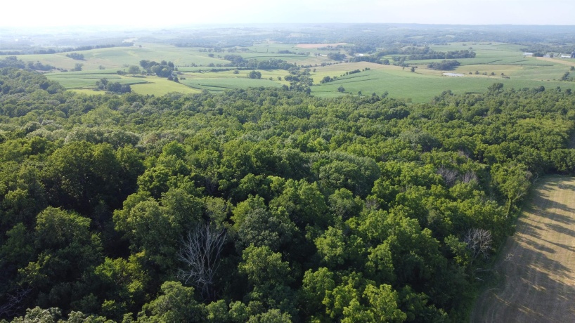 1904 US Rt 20 East, ELIZABETH, Illinois 61028, ,Land,For Sale,US Rt 20 East,202502772