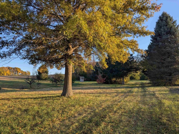 State Line, DURAND, Illinois 61024, ,Land,For Sale,State Line,202506892