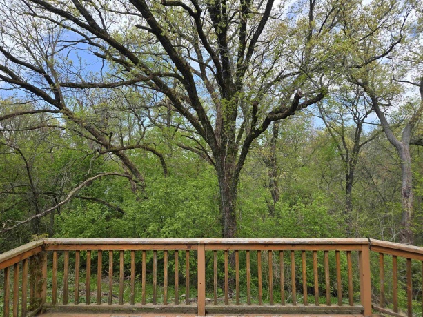 3A25 Grant, APPLE RIVER, Illinois 61001, 3 Bedrooms Bedrooms, ,2 BathroomsBathrooms,House,For Sale,Grant,202602600