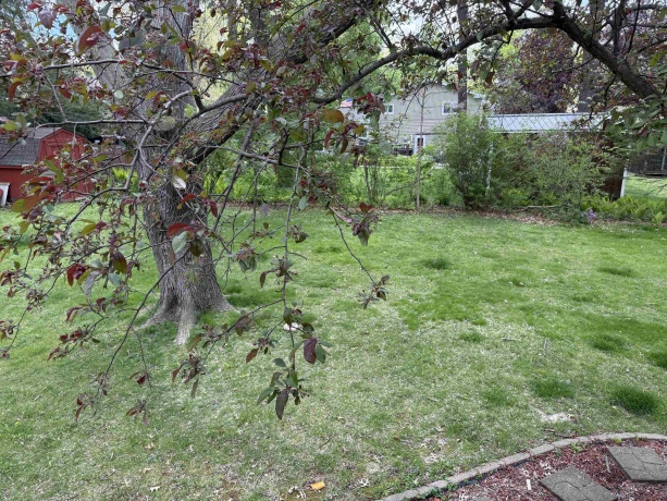 2041 Winchester Drive, FREEPORT, Illinois 61032, 4 Bedrooms Bedrooms, ,3 BathroomsBathrooms,House,For Sale,Winchester Drive,202602625