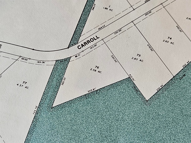 21-76 Lake Carroll, LAKE CARROLL, Illinois 61046, ,Land,For Sale,Lake Carroll,202602629
