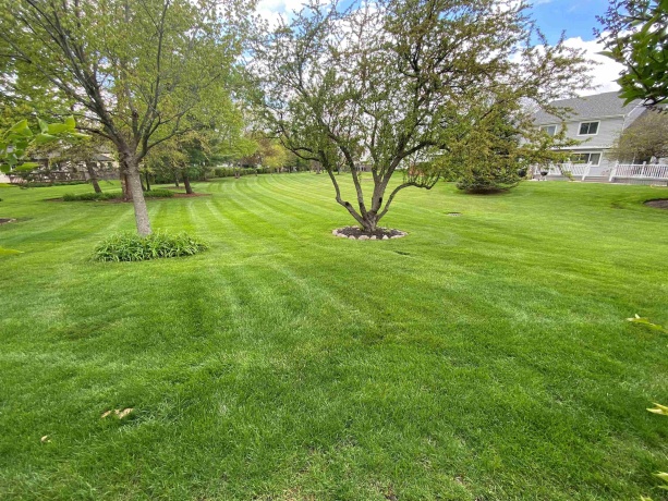 836 Golf Course, CRYSTAL LAKE, Illinois 60014, 3 Bedrooms Bedrooms, ,2 BathroomsBathrooms,House,For Sale,Golf Course,202602637