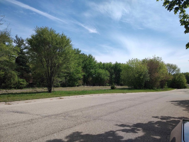 003 Britnie, POPLAR GROVE, Illinois 61065, ,Land,For Sale,Britnie,202602639