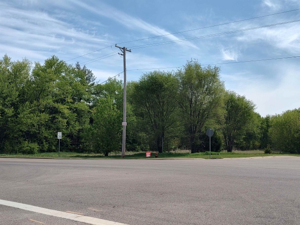 003 Britnie, POPLAR GROVE, Illinois 61065, ,Land,For Sale,Britnie,202602639