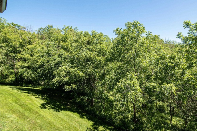 8 Trillium, GALENA, Illinois 61036, 6 Bedrooms Bedrooms, ,5 BathroomsBathrooms,House,For Sale,Trillium,202602647