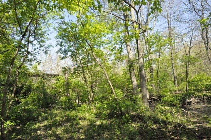 508 Bronson, Streator, Illinois 61364, 3 Bedrooms Bedrooms, ,1 BathroomBathrooms,House,For Sale,Bronson,202602650