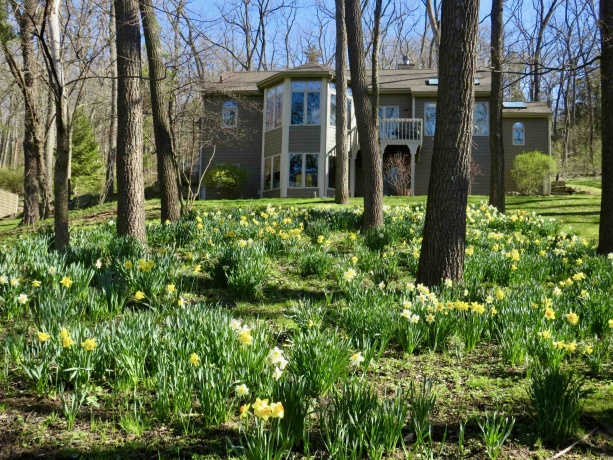 13 Heatherdowns, GALENA, Illinois 61036, 3 Bedrooms Bedrooms, ,2 BathroomsBathrooms,House,For Sale,Heatherdowns,202602699