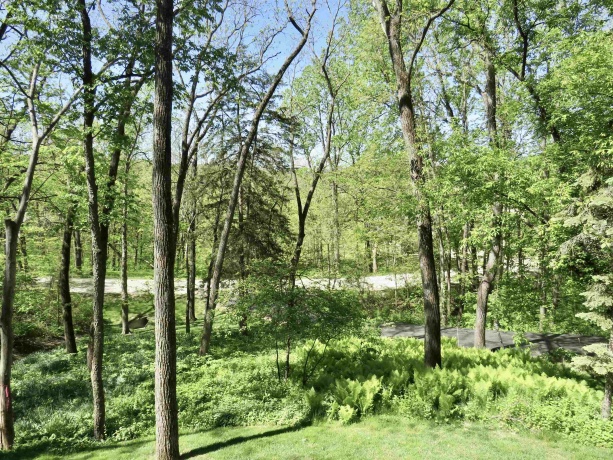 13 Heatherdowns, GALENA, Illinois 61036, 3 Bedrooms Bedrooms, ,2 BathroomsBathrooms,House,For Sale,Heatherdowns,202602699
