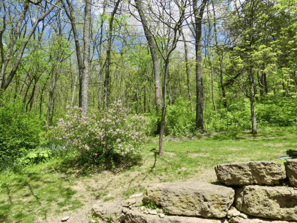 13 Heatherdowns, GALENA, Illinois 61036, 3 Bedrooms Bedrooms, ,2 BathroomsBathrooms,House,For Sale,Heatherdowns,202602699