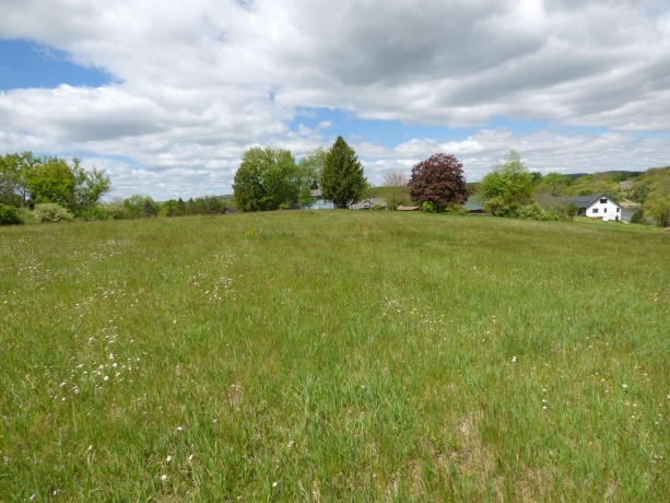 10A67 Cardinal, APPLE RIVER, Illinois 61001, ,Land,For Sale,Cardinal,202602728