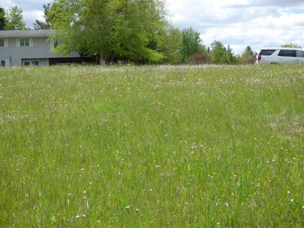 10A67 Cardinal, APPLE RIVER, Illinois 61001, ,Land,For Sale,Cardinal,202602728