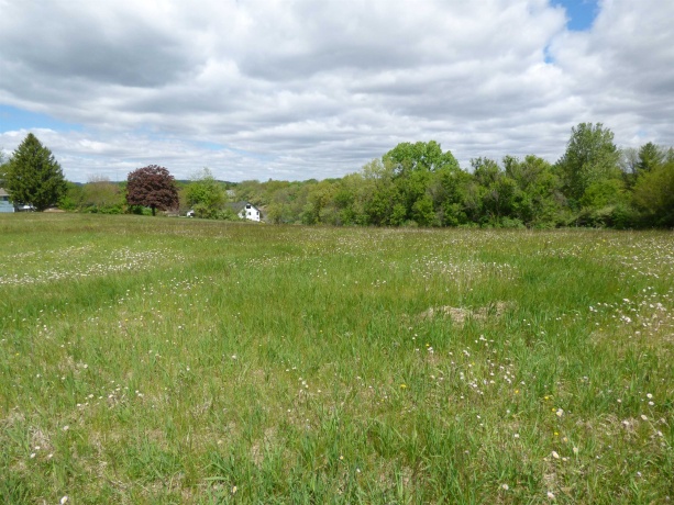 10A67 Cardinal, APPLE RIVER, Illinois 61001, ,Land,For Sale,Cardinal,202602728