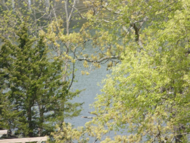 10A67 Cardinal, APPLE RIVER, Illinois 61001, ,Land,For Sale,Cardinal,202602728